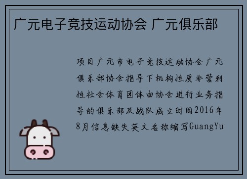 广元电子竞技运动协会 广元俱乐部